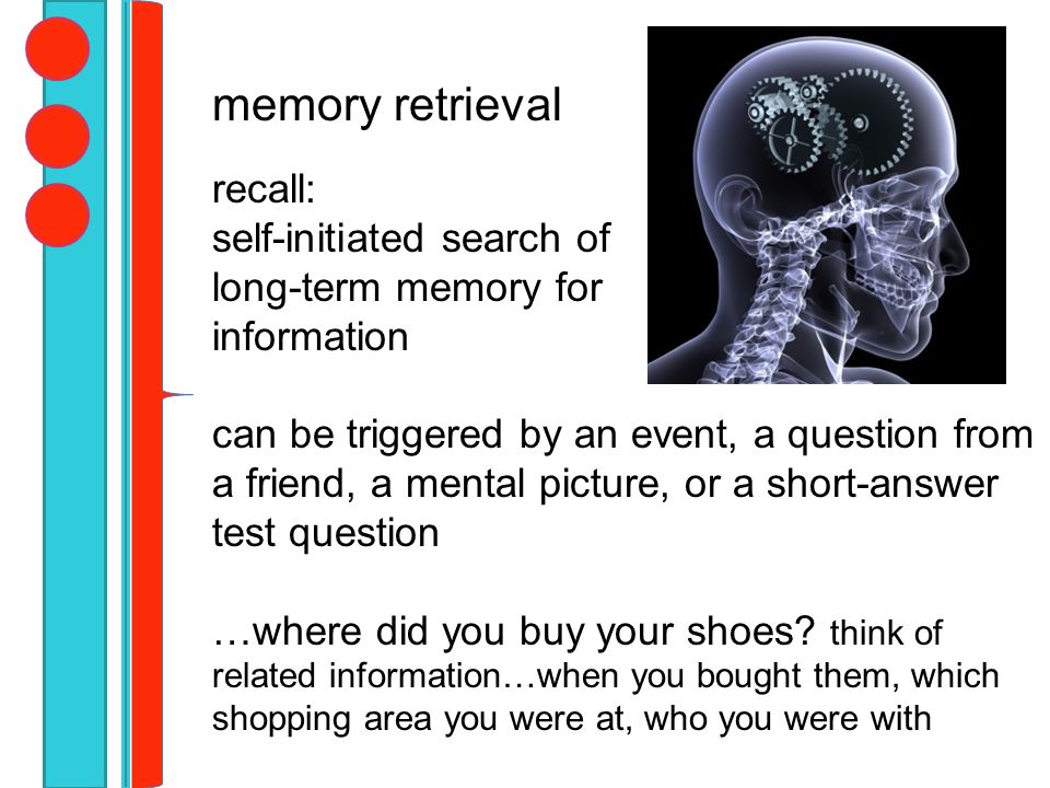 free recall from short term memory free recall from short term memory