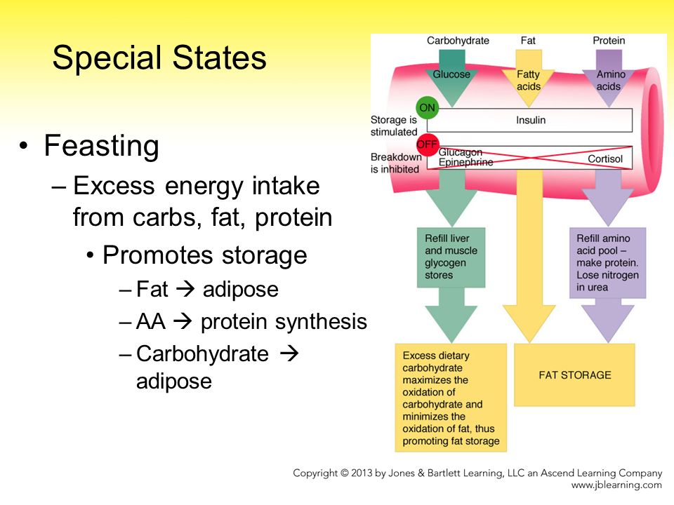 Pathophysiology Of Weight Loss In Diabetes Pathophysiology of weight loss in diabetes