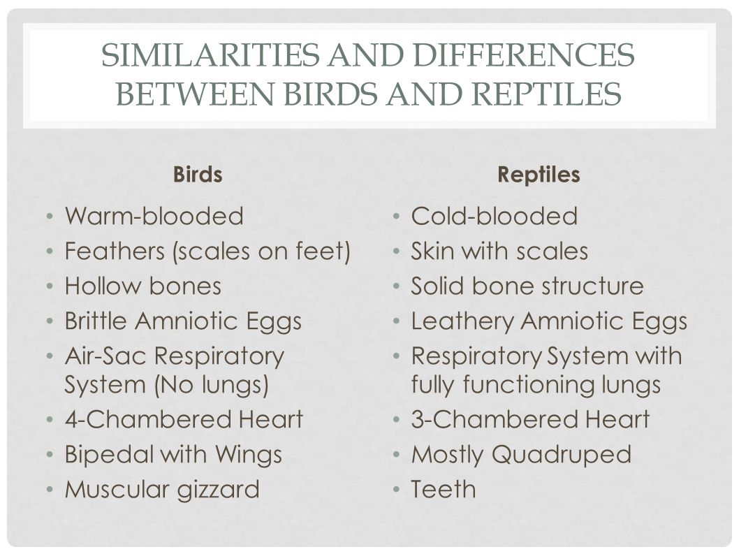the similarities and differences between into the wild and of eurydice Classifying is organizing items or elements into groups based on their similarities not specific to any one form of identifying similarities and differences. the similarities and differences between into the wild and of eurydice Classifying is organizing items or elements into groups based on their similarities not specific to any one form of identifying similarities and differences.
