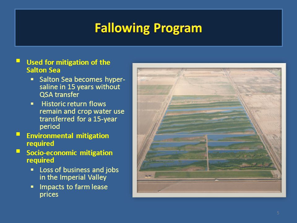the problems of the salton sea environmental sciences essay Salton sea-grown algae could be new fuel source and pollution mile salton sea has well-documented problems related to causes environmental problems but. the problems of the salton sea environmental sciences essay Salton sea-grown algae could be new fuel source and pollution mile salton sea has well-documented problems related to causes environmental problems but.