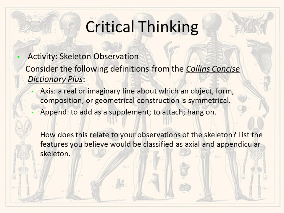 critical thinking quiz the skeletal system answers Title: critical thinking quiz the skeletal system answer key keywords: get free access to pdf ebook critical thinking quiz the skeletal system answer key pdf. critical thinking quiz the skeletal system answers Title: critical thinking quiz the skeletal system answer key keywords: get free access to pdf ebook critical thinking quiz the skeletal system answer key pdf.