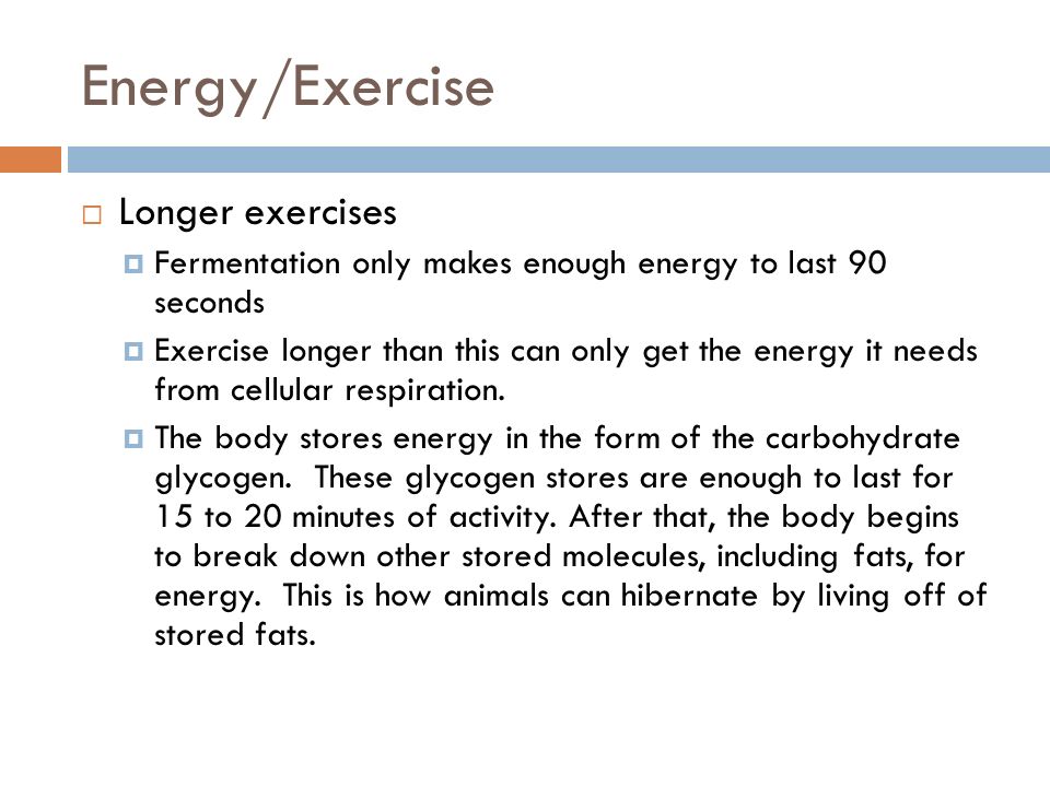 Cellular Respiration Chapter 9 Review What Is The Equation For 18 Energy Exercise