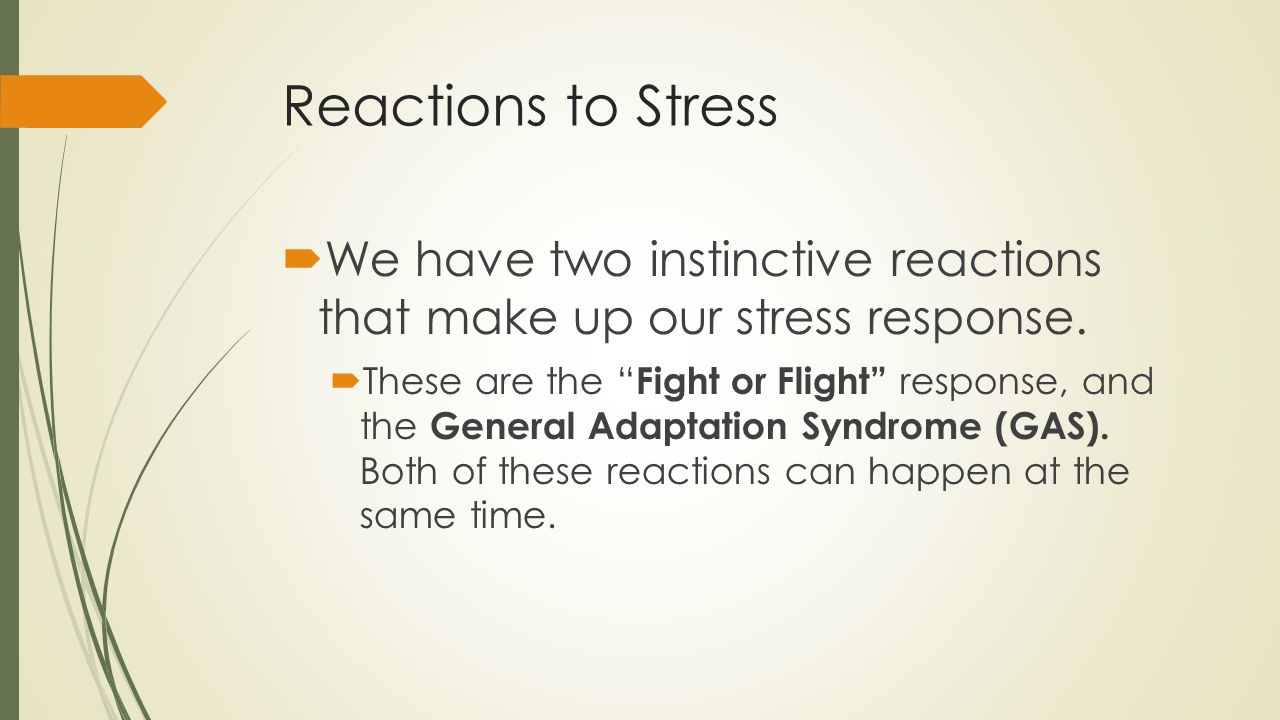 reaction on stress management seminar Stress management training stress management training for peak productivity in order for stress management training to be effective, participants need to realize that workplace stress is their own internal reaction to external stressors. reaction on stress management seminar Stress management training stress management training for peak productivity in order for stress management training to be effective, participants need to realize that workplace stress is their own internal reaction to external stressors.