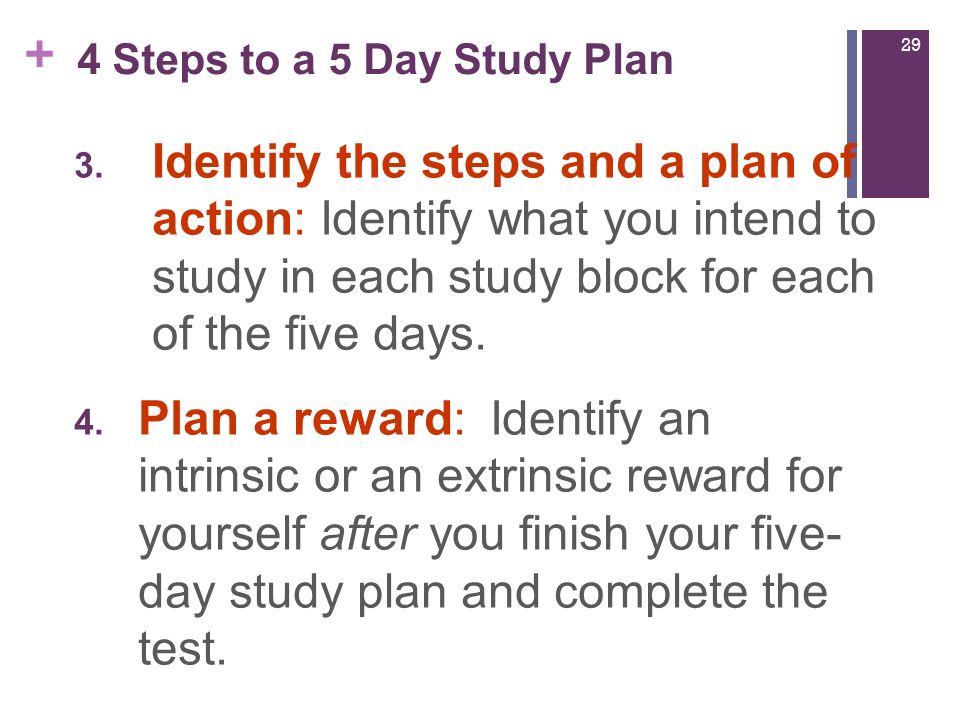 5 day study plan
