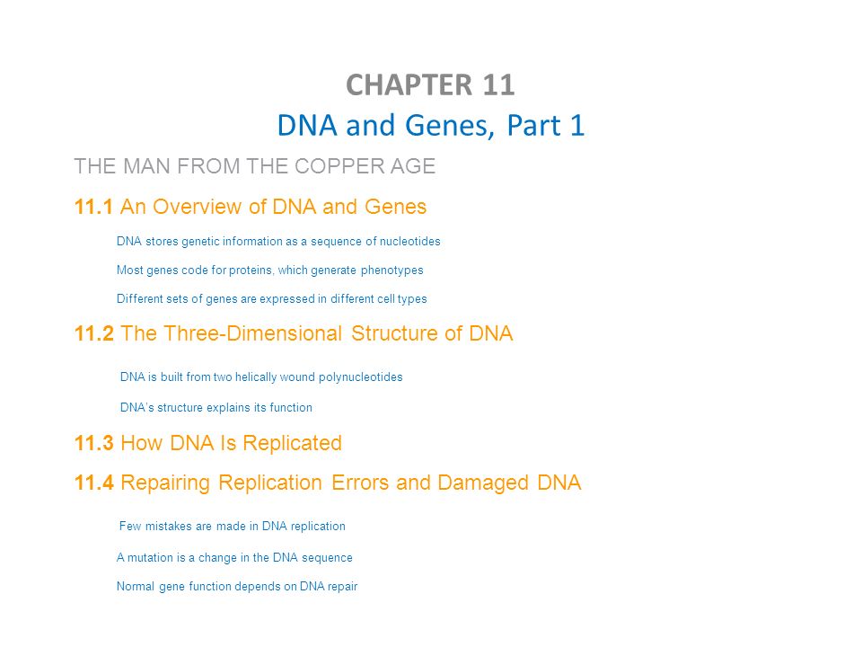 Printables Chapter 11 Dna And Genes Worksheet Answers Printables Chapter 11 Dna And Genes Worksheet Answers Bloggakuten