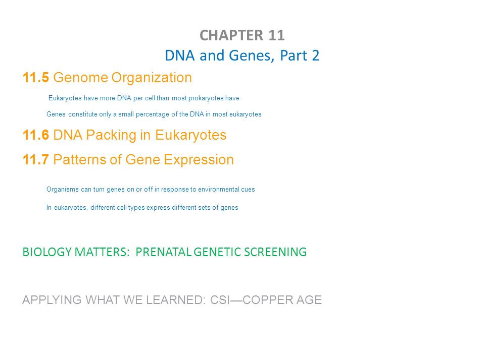 Discover Biology Sixth Edition Chapter 11 Dna And Genes Anu Singh 3 Chapter 11 Dna And Genes Part 2