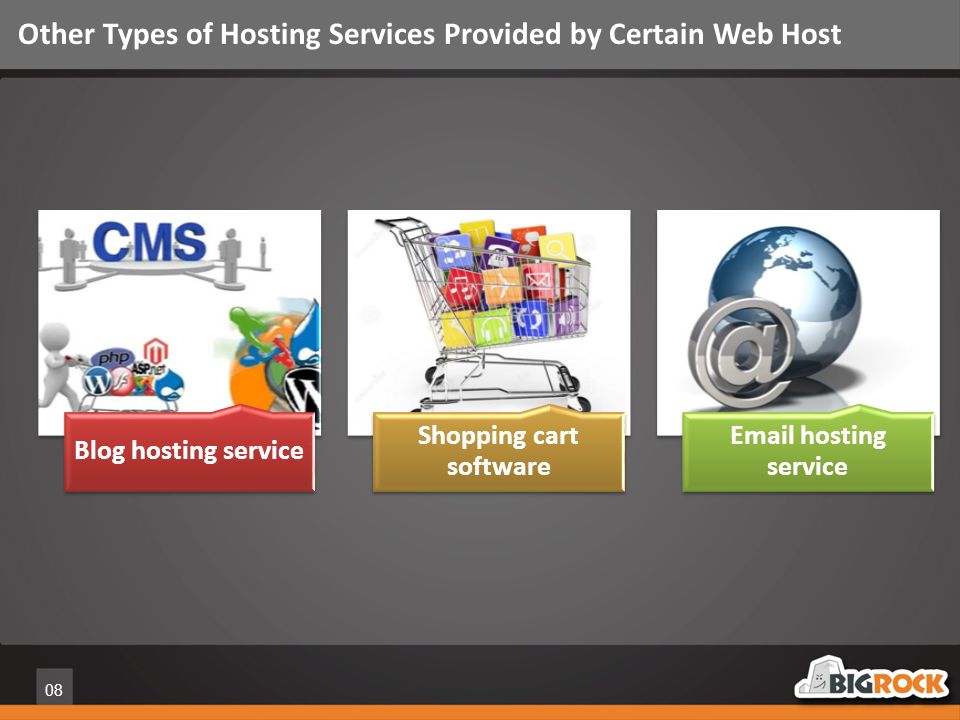 08 Other Types of Hosting Services Provided by Certain Web Host Blog hosting service Shopping cart software  hosting service