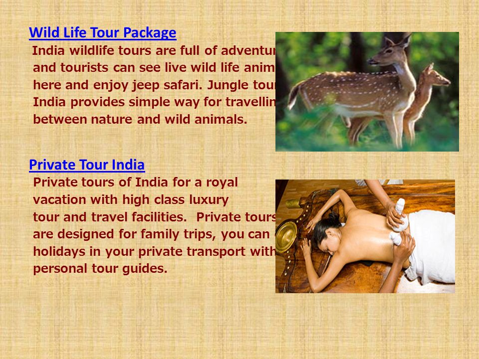 Wild Life Tour Package India wildlife tours are full of adventure and tourists can see live wild life animals here and enjoy jeep safari.
