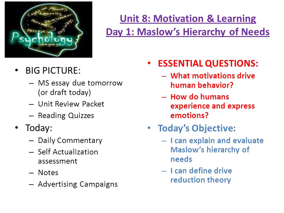 essay question on motivation essay question on motivation