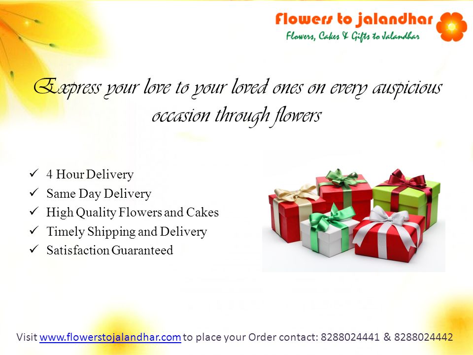 Express your love to your loved ones on every auspicious occasion through flowers 4 Hour Delivery Same Day Delivery High Quality Flowers and Cakes Timely Shipping and Delivery Satisfaction Guaranteed Visit   to place your Order contact: & www.flowerstojalandhar.com