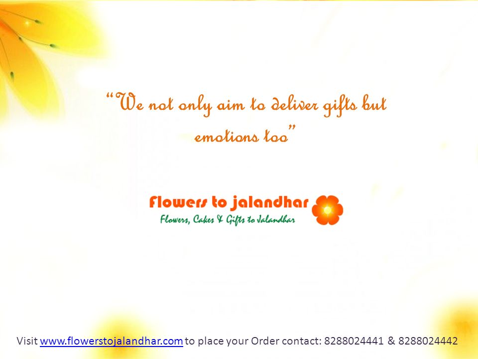 We not only aim to deliver gifts but emotions too Visit   to place your Order contact: & www.flowerstojalandhar.com