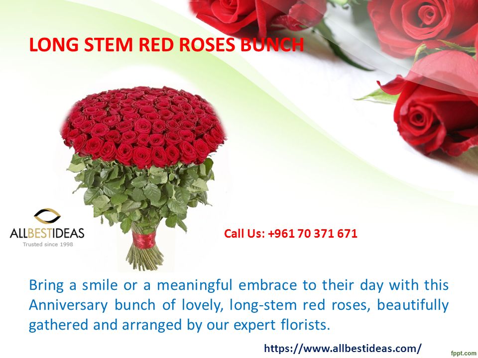 LONG STEM RED ROSES BUNCH Bring a smile or a meaningful embrace to their day with this Anniversary bunch of lovely, long-stem red roses, beautifully gathered and arranged by our expert florists.