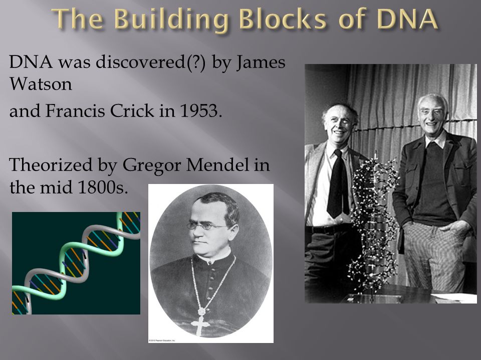9 james watson francis crick