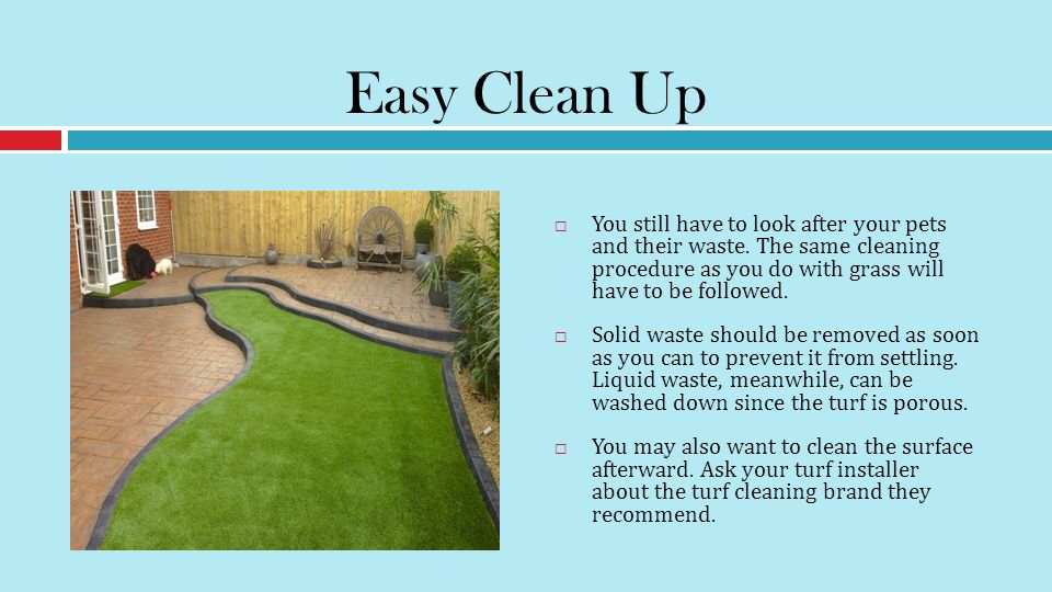 Easy Clean Up  You still have to look after your pets and their waste.