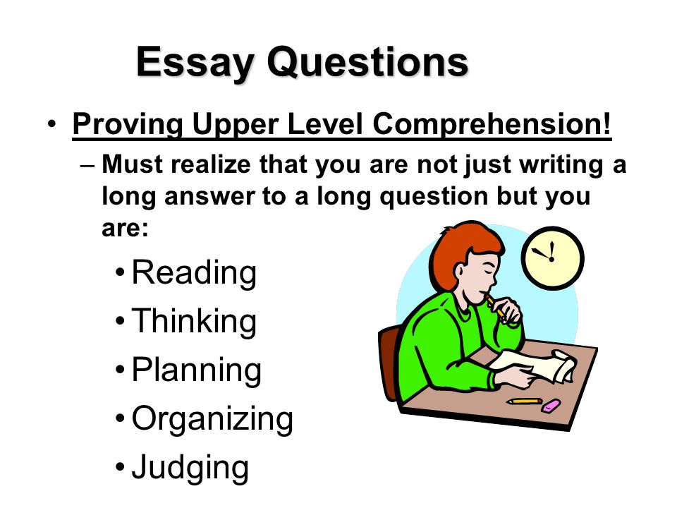 Essay Do My Assignment Cheap