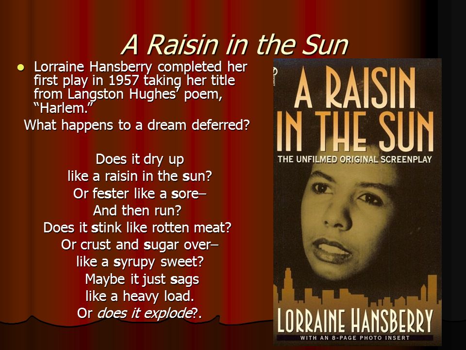 an assessment of a raisin in the sun a novel by lorraine hansberry an assessment of a raisin in the sun a novel by lorraine hansberry