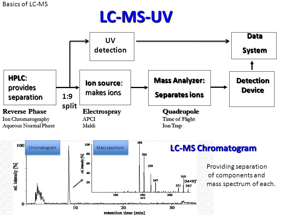 hplc basics