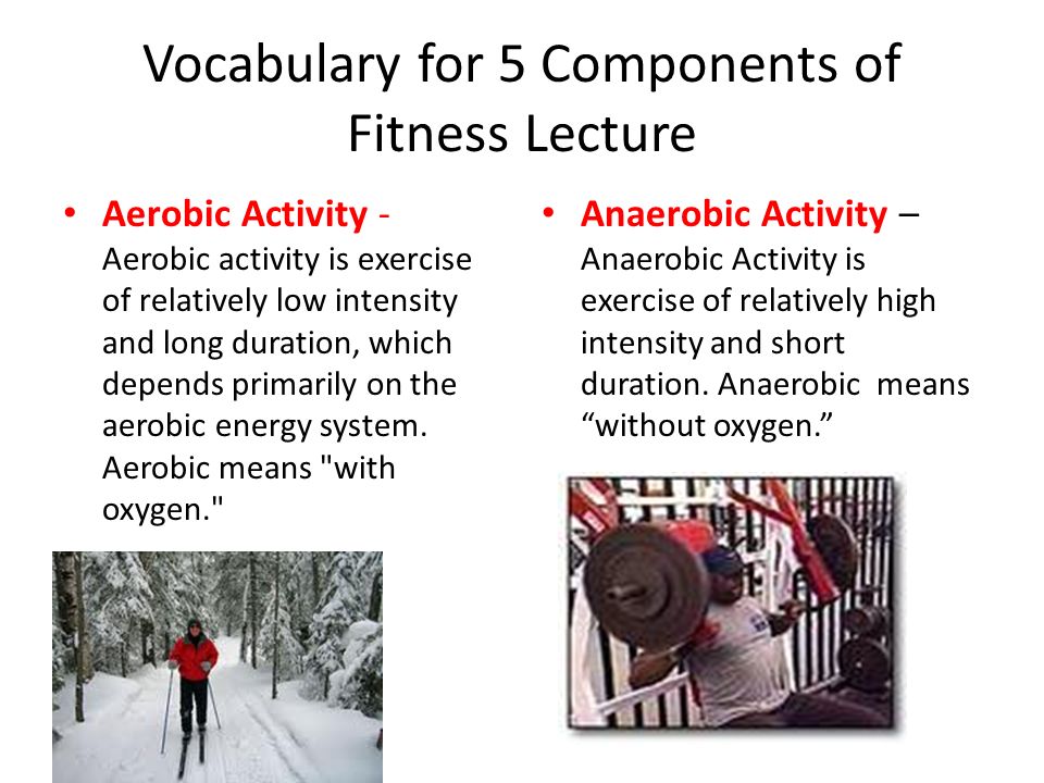 5 components of fitness