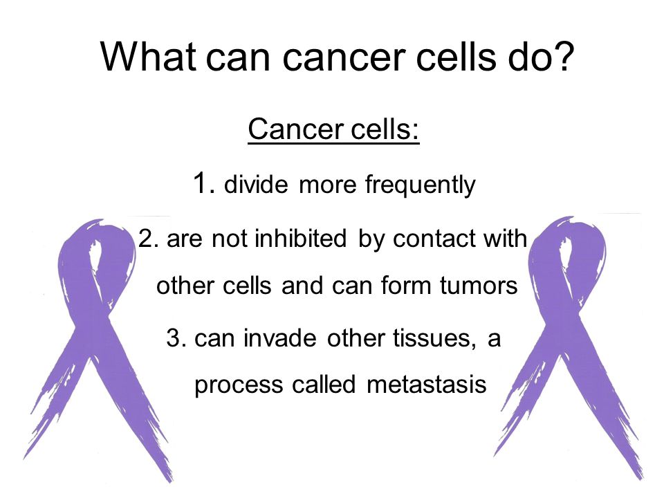 the cell cycle and cancer how do we define cancer cancer is 1 a how do cancer form