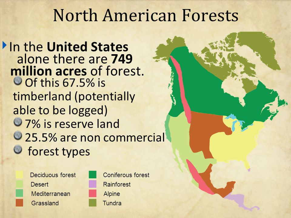 american rangeland and forest essay example american rangeland and forest essay example