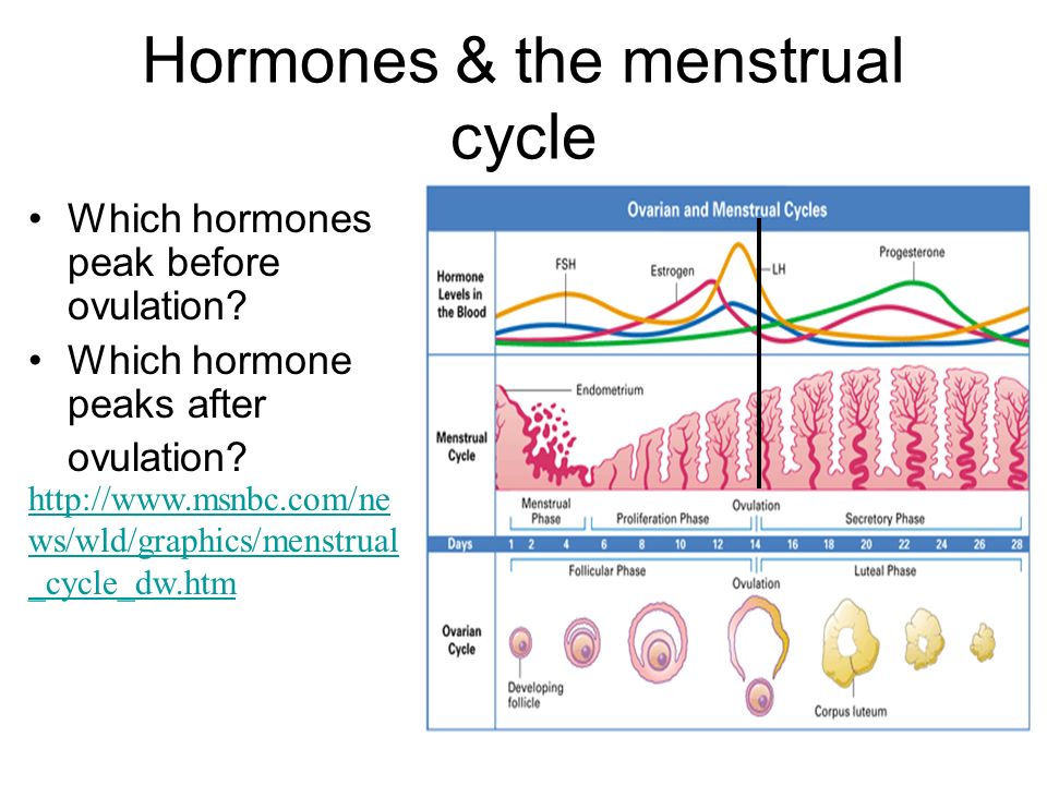 Hormone surges after orgasm