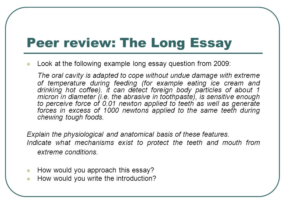 Ice professional review essay