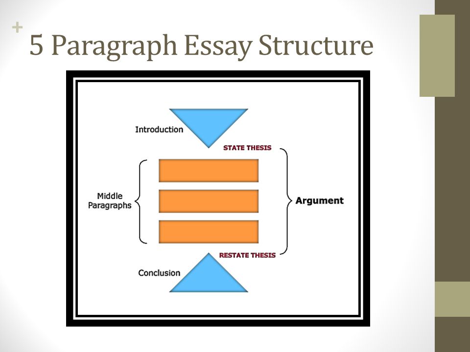conclusion of compare and contrast essay.jpg