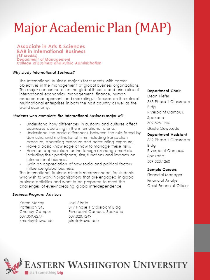 international business major