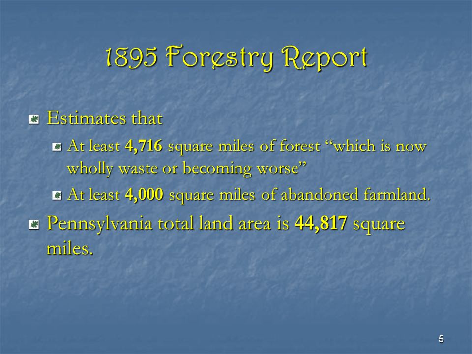 Forest Conservation Essay