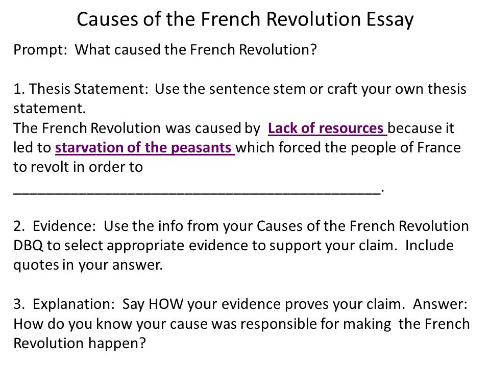 Causes of the french revolution essay