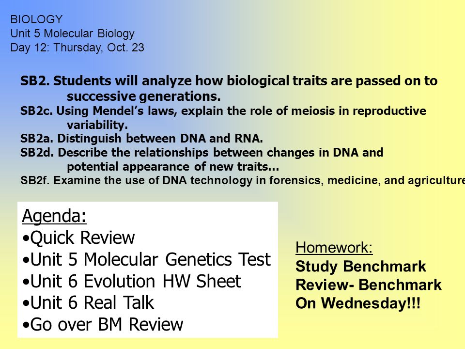 scientific analysis paper on dna replication scientific analysis paper on dna replication