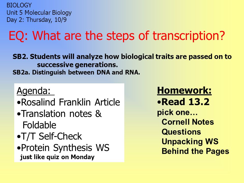 essay about management vacation trip