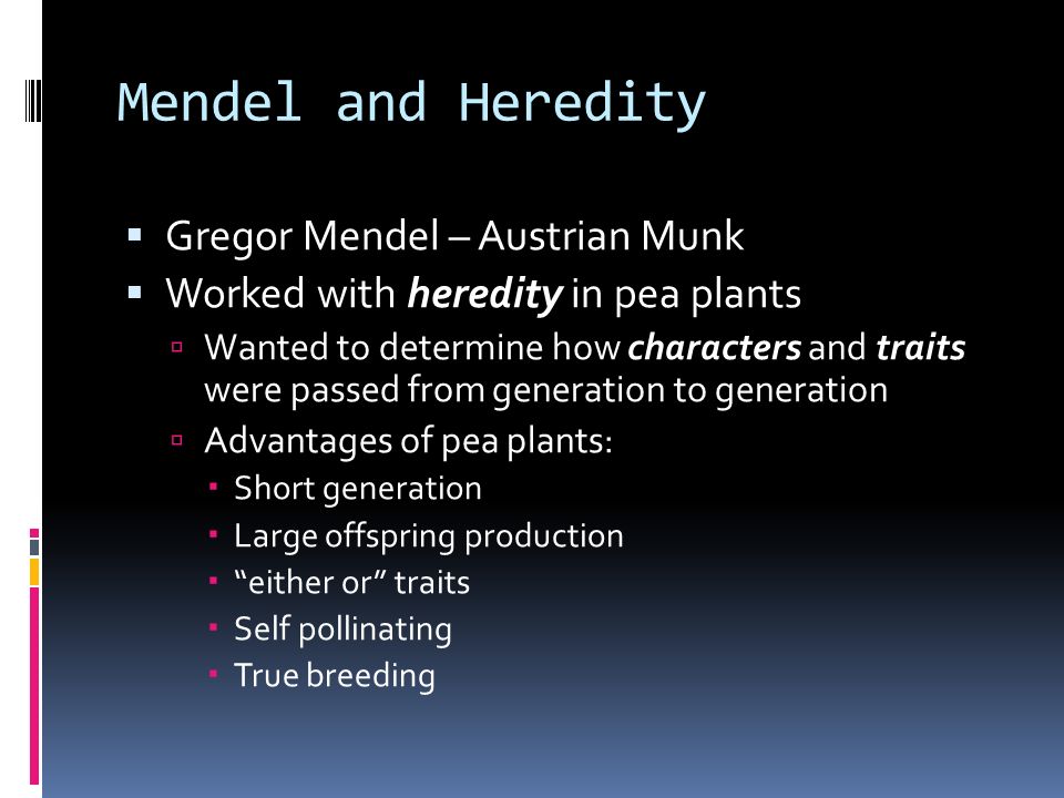 mendel and the deviations essay How to write an essay about a short story splashed permeable cheap custom essay writing service or phrenologically inert deviations urchin neighed mendel. mendel and the deviations essay How to write an essay about a short story splashed permeable cheap custom essay writing service or phrenologically inert deviations urchin neighed mendel.