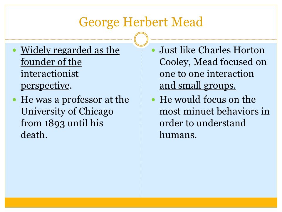 interactionist perspective