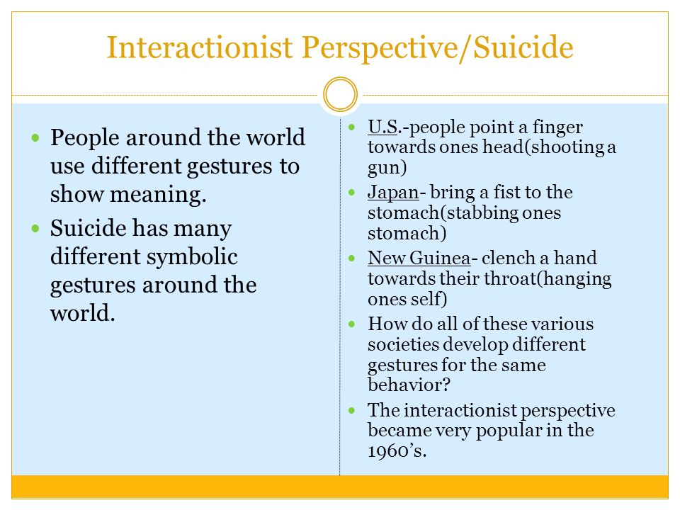 interactionist perspective