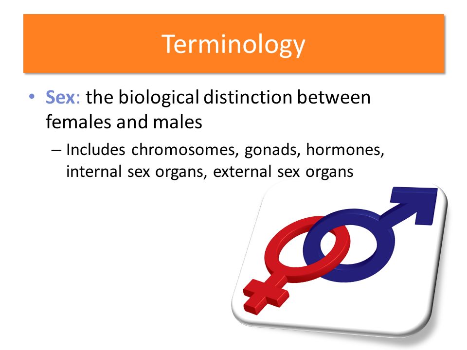 the consequences of disrupting the model of gender roles It meant that you had a particular set of responsibilities, a list of dos & don’ts and that your lifestyle had to reflect those ‘rules of engagement’ this is what we call gender roles men had to be this way and women had to be that way of course, the gender roles would vary across different cultures and across different generations. the consequences of disrupting the model of gender roles It meant that you had a particular set of responsibilities, a list of dos & don’ts and that your lifestyle had to reflect those ‘rules of engagement’ this is what we call gender roles men had to be this way and women had to be that way of course, the gender roles would vary across different cultures and across different generations.
