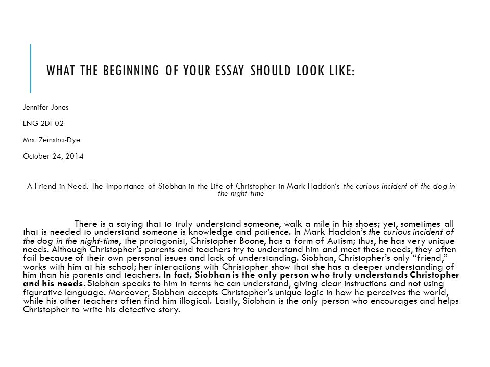 Essay On Night