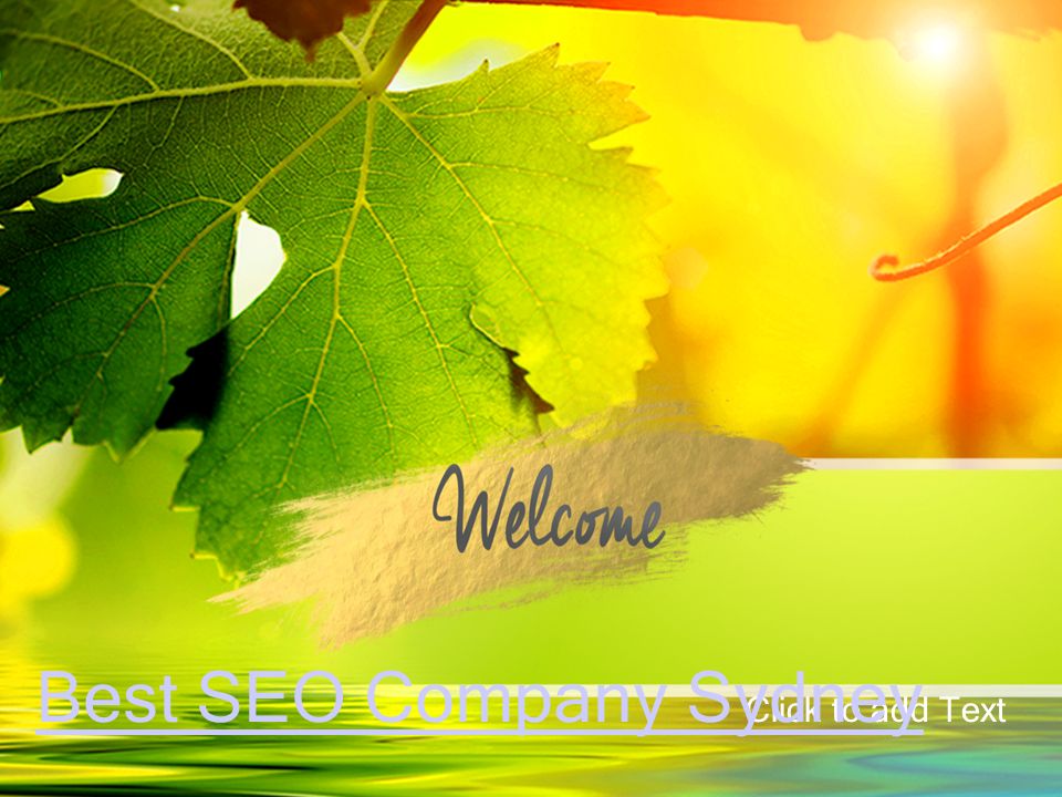 Click to add Text Best SEO Company Sydney