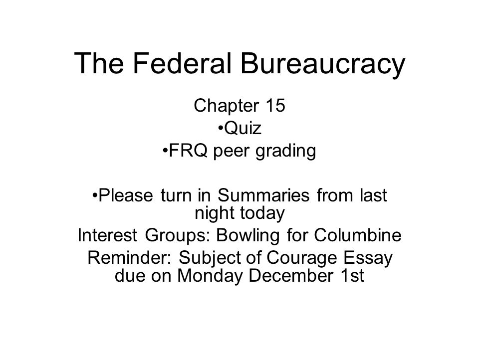 bowling for columbine essay