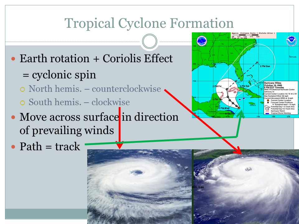 essay tropical cyclones Papers, data, and graphics pertaining to tropical cyclone trends and variability atlantic tropical cyclones revisited (pdf) eos essay on global warming. essay tropical cyclones Papers, data, and graphics pertaining to tropical cyclone trends and variability atlantic tropical cyclones revisited (pdf) eos essay on global warming.