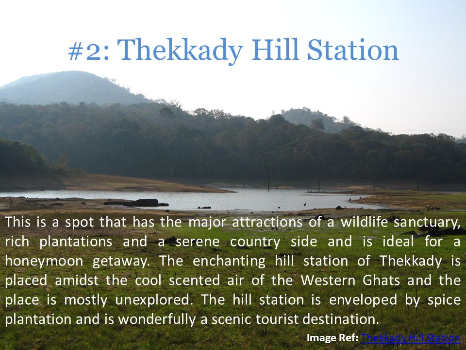 #2: Thekkady Hill Station This is a spot that has the major attractions of a wildlife sanctuary, rich plantations and a serene country side and is ideal for a honeymoon getaway.