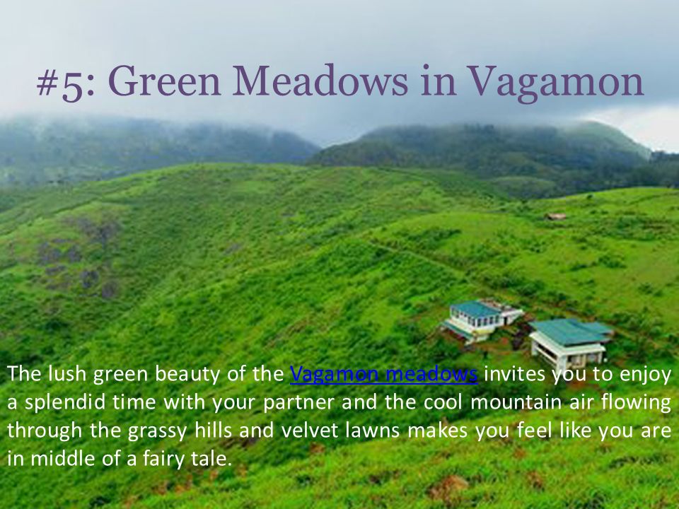 #5: Green Meadows in Vagamon The lush green beauty of the Vagamon meadows invites you to enjoy a splendid time with your partner and the cool mountain air flowing through the grassy hills and velvet lawns makes you feel like you are in middle of a fairy tale.Vagamon meadows