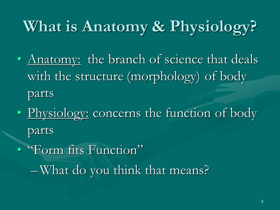 1 anatomy physiology anatomy physiology chapter 1 introduction what does form fits function mean