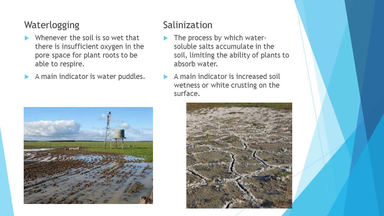 soil salination There are various practices that you can apply, in order to prevent soil salinity or manage salinity problems once they already occur. soil salination There are various practices that you can apply, in order to prevent soil salinity or manage salinity problems once they already occur.