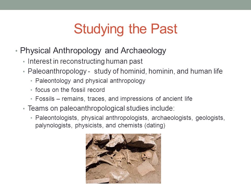 archaeology study of human life The definition of archaeology is the study of human history, particularly the culture of historic and prehistoric people through the discovery and exploration of remains, structures and writings an example of archaeology is examining mummies in tombs. archaeology study of human life The definition of archaeology is the study of human history, particularly the culture of historic and prehistoric people through the discovery and exploration of remains, structures and writings an example of archaeology is examining mummies in tombs.