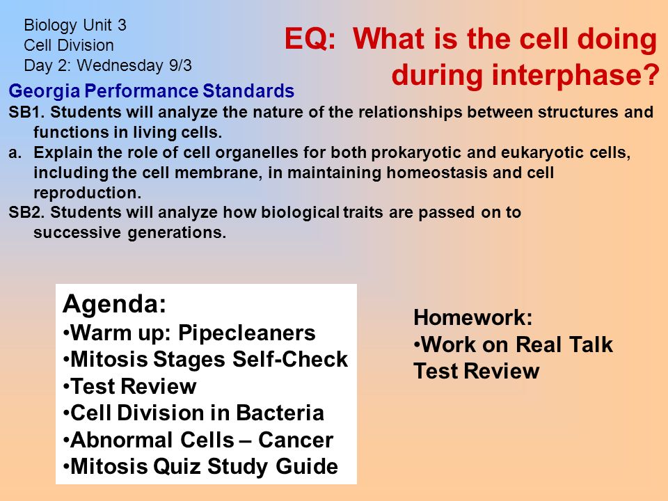 essay question cell division essay question cell division