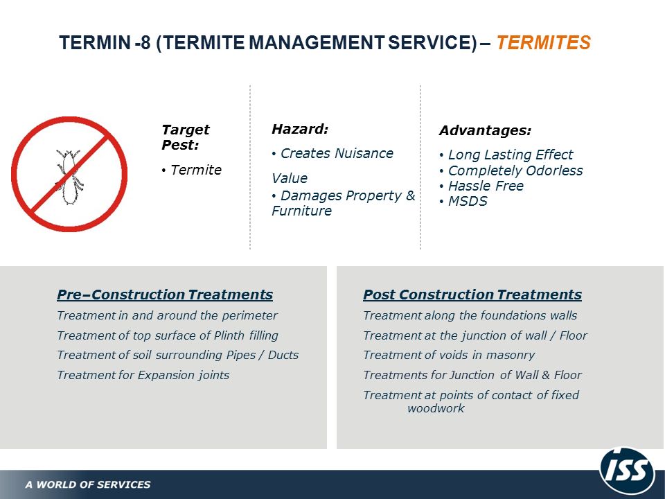 TERMIN -8 (TERMITE MANAGEMENT SERVICE) – TERMITES Target Pest: Termite Hazard: Creates Nuisance Value Damages Property & Furniture Advantages: Long Lasting Effect Completely Odorless Hassle Free MSDS Pre–Construction Treatments Treatment in and around the perimeter Treatment of top surface of Plinth filling Treatment of soil surrounding Pipes / Ducts Treatment for Expansion joints Post Construction Treatments Treatment along the foundations walls Treatment at the junction of wall / Floor Treatment of voids in masonry Treatments for Junction of Wall & Floor Treatment at points of contact of fixed woodwork
