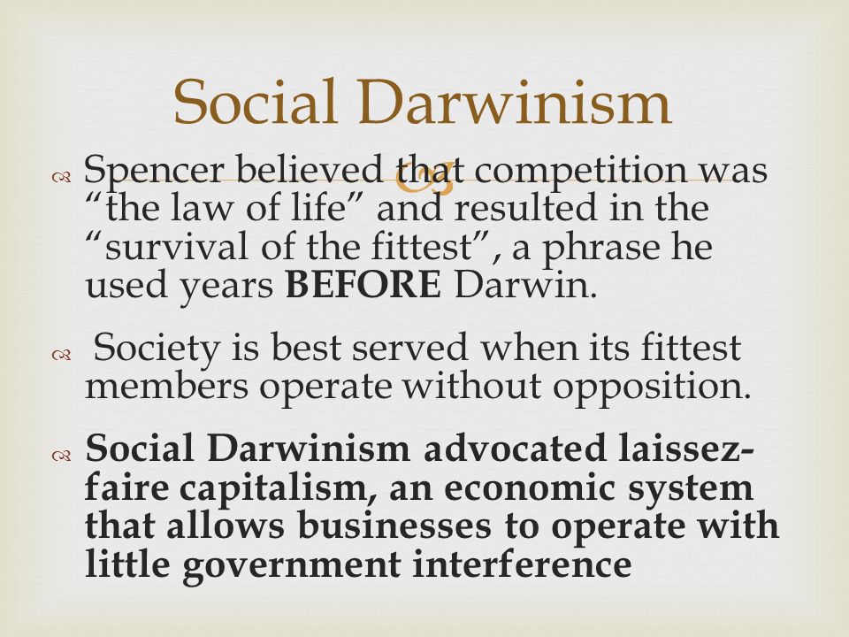 social darwinism essay social darwinism essay