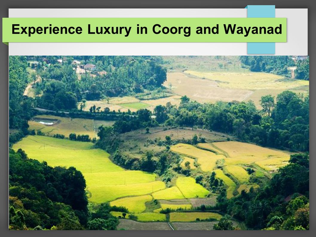 Experience Luxury in Coorg and Wayanad