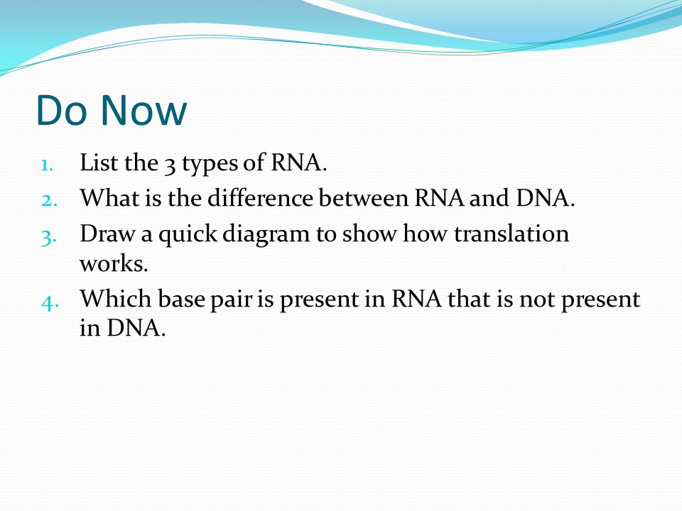 do now 1 list the 3 types of rna 2 what is the difference between how translation works